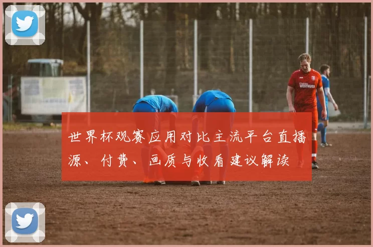 世界杯观赛应用对比主流平台直播源、付费、画质与收看建议解读