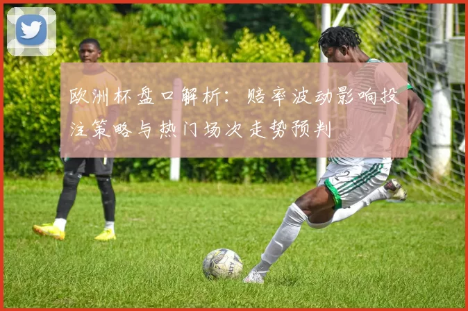 欧洲杯盘口解析：赔率波动影响投注策略与热门场次走势预判