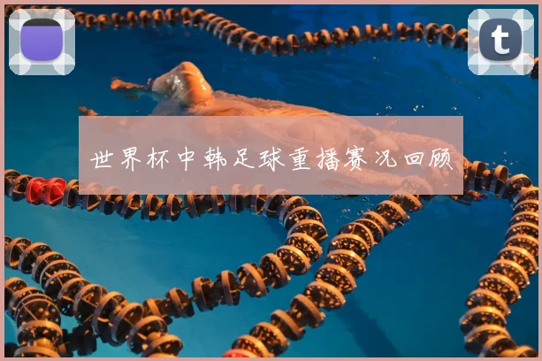 世界杯中韩足球重播赛况回顾