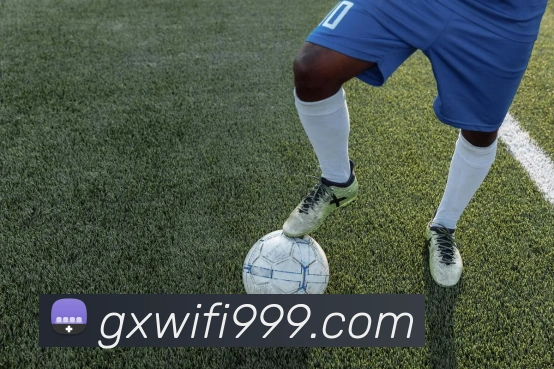 mksports官方网站平台生态图